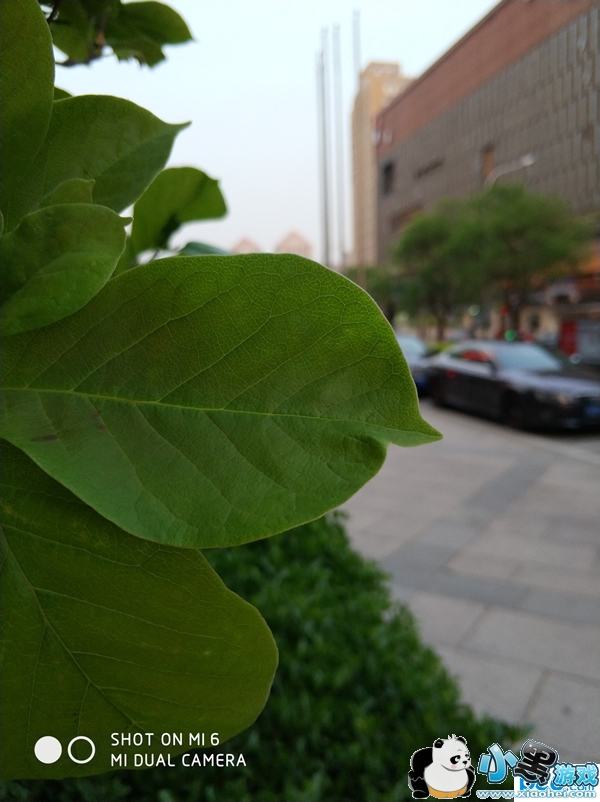 С��6�ֻ���ô�� С��6�׷�����