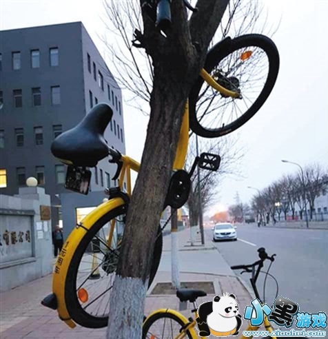 ofo���÷����Ŀ� ofo���÷���ô����