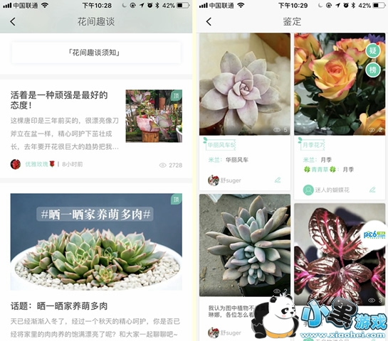 ����ʶ�������ĸ��� ����ʶ��app���ʹ��