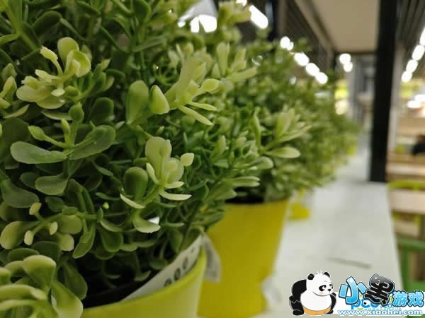 һ��3t�ֻ���ô�� һ��3t����