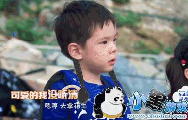 �ź�С������Ч���ĸ����� �ź�С������Ч��ôŪ