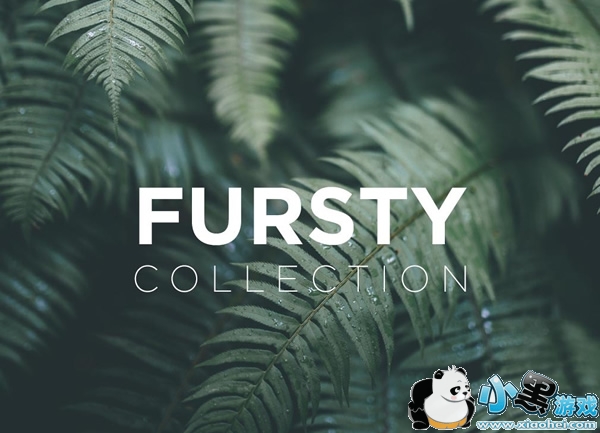 MuseCam��ô�� MuseCamʹ�ý̳�