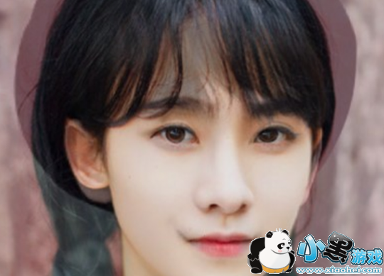 性别反转照片软件怎么玩 郑爽变男人软件是什么