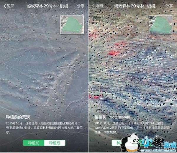 ����ɭ�����ǿ�����ô�� ����ɭ��ʵʱ����������