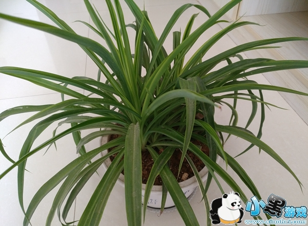 ��pro 3�ֻ���ô�� ������pro 3���������Ƶ