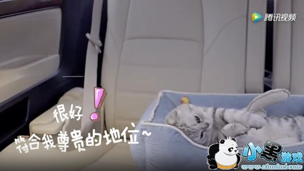 ��������ȼ�����ʲô ��������ȼ�����ô��