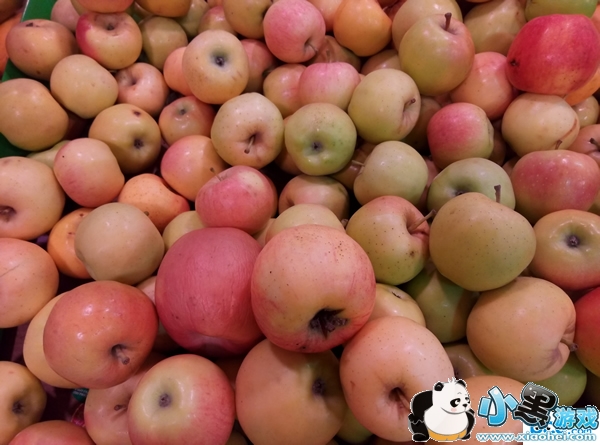 ����E�ֻ��ò��� ��������E�������