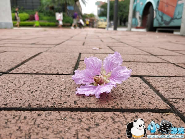 一加5手机怎么样 一加5手机评测 一加5手机怎么样 一加5手机评测