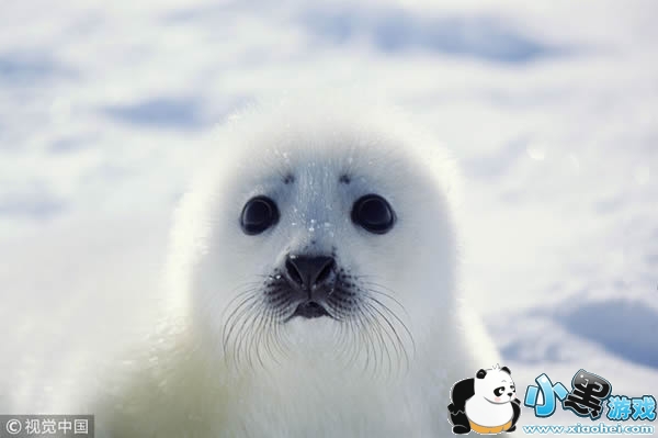 ����Prisma��app����Щ �����˾�App�ĸ�����