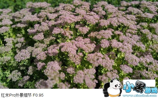 ����note4�ͺ���pro�ĸ��� ����note4�����pro�Ա�����