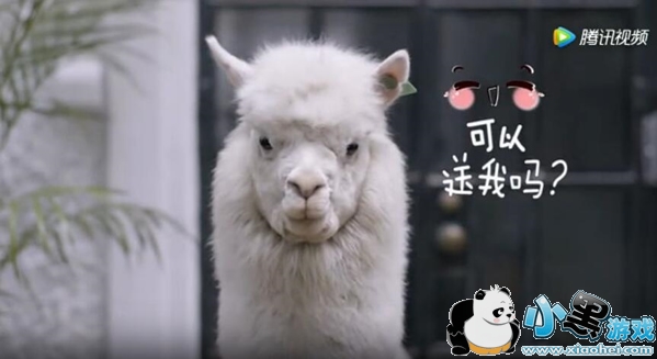 ��������ȼ�����ʲô ��������ȼ�����ô��