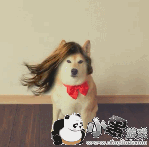 lumyer��ô�� lumyer��ô������Ȧ