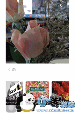 prisma��ô�� prisma��ôʹ��ͼ��ȫ�̳�