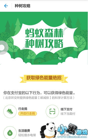 ����ɭ����ô��ͨ ����ɭ����ô����