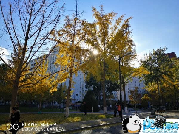 ��ΪMate 9�ֻ���ô�� ��ΪMate 9�������