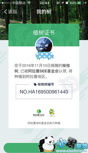 蚂蚁森林真的会种树吗 蚂蚁森林怎么关闭 蚂蚁森林真的会种树吗 蚂蚁森林怎么关闭