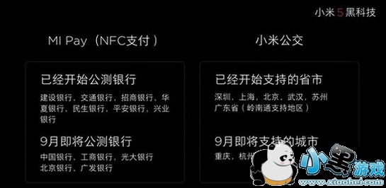 mi pay��ʲô��˼ mi pay��ʲô����