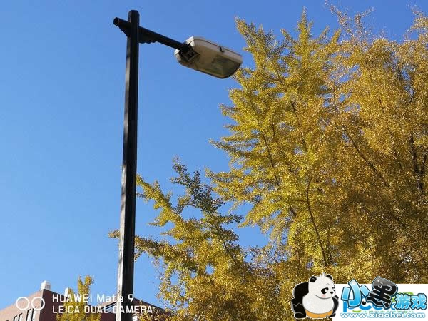 ��ΪMate 9�ֻ���ô�� ��ΪMate 9�������