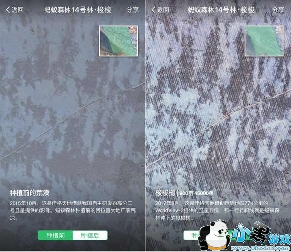 ����ɭ�����ǿ�����ô�� ����ɭ��ʵʱ����������