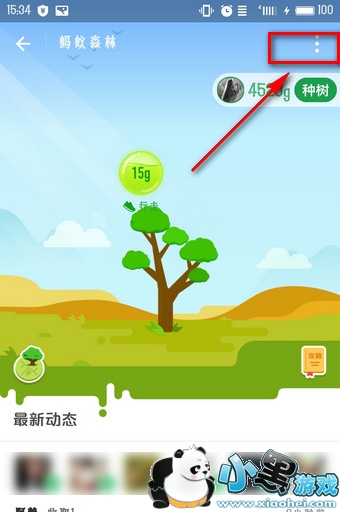 蚂蚁森林真的会种树吗 蚂蚁森林怎么关闭 蚂蚁森林真的会种树吗 蚂蚁森林怎么关闭