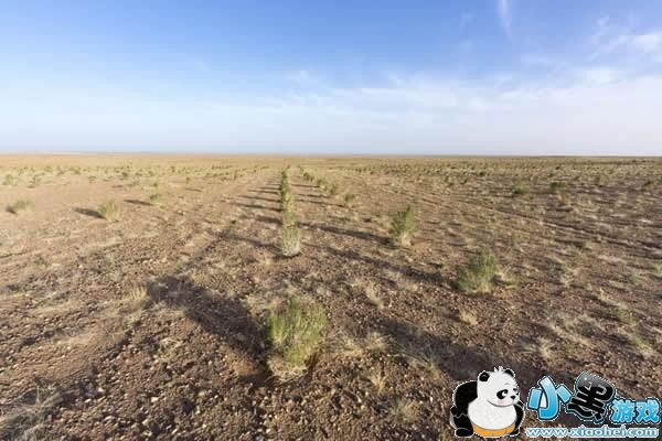 ����ɭ�����ǿ�����ô�� ����ɭ��ʵʱ����������