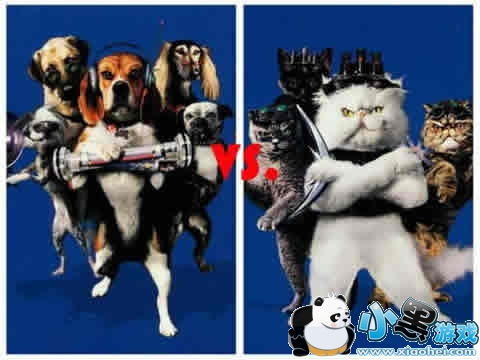 �������к���è�����ĸ��� �������к���è����������ȫ�Ա�