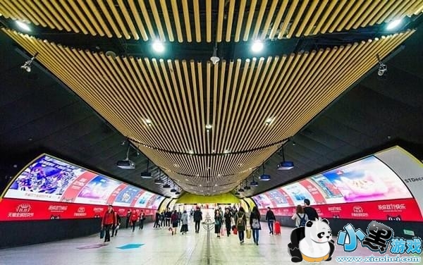 2017��è˫ʮһ�����ô�� ��è˫11����淨����