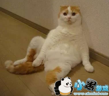 ���޶���ʲô �����Ϊʲô�������޶�