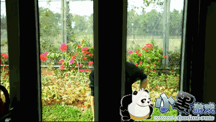 深圳无人公交车线路有哪些 深圳无人驾驶公交车线路介绍 深圳无人公交车线路有哪些 深圳无人驾驶公交车线路介绍