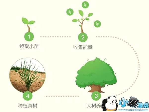 ����ɭ�����ǿ�����ô�� ����ɭ��ʵʱ����������