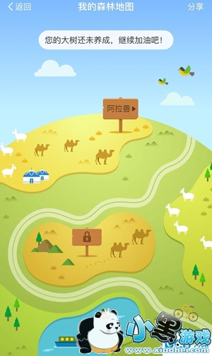 ����ɭ��ģ���ͼ��ô�� ����ɭ��ģ���ͼ������