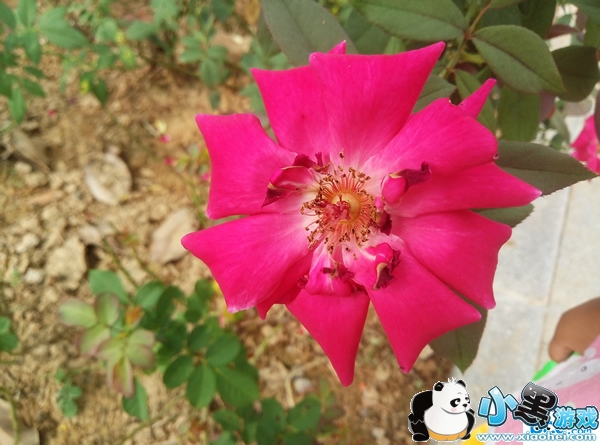 ����E�ֻ��ò��� ��������E�������