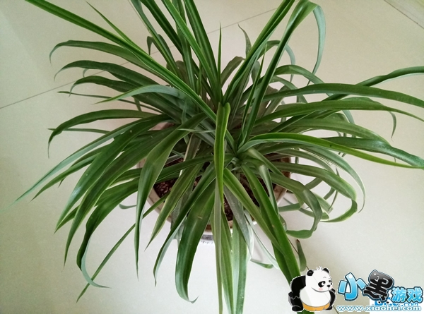 ����E�ֻ��ò��� ��������E�������