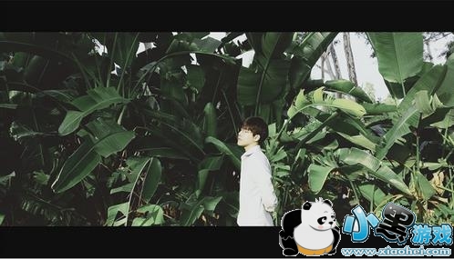 ��ͼv6������ ��ͼv6ֵ������