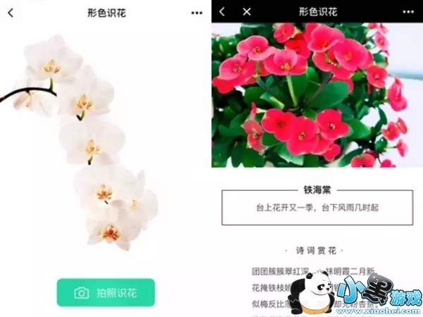 С��������Щ ΢��С������Щ����