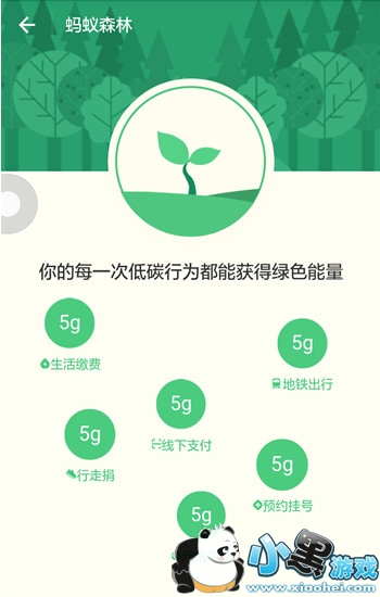 蚂蚁森林种树有什么用 蚂蚁森林线下支付什么意思