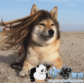 lumyer��ô�� lumyer��ô������Ȧ