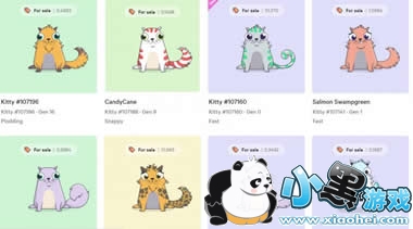 ����èʲô��˼ ����èapp����