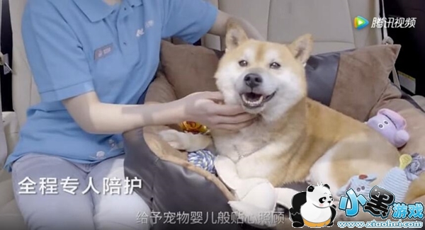 ��������ȼ�����ʲô ��������ȼ�����ô��