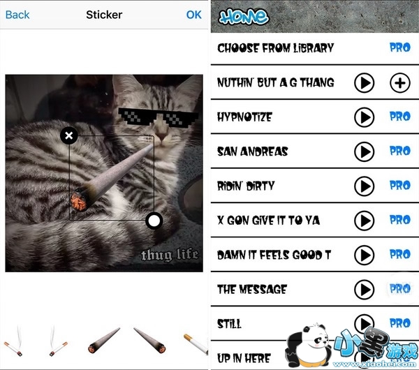 thug life������ô�� thug life������ôŪ