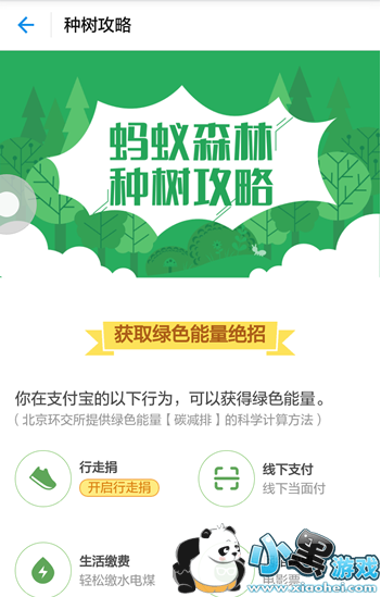 ����ɭ����ô�� ����ɭ�ֹ��Է���