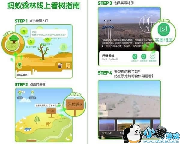 ����ɭ�����ǿ�����ô�� ����ɭ��ʵʱ����������