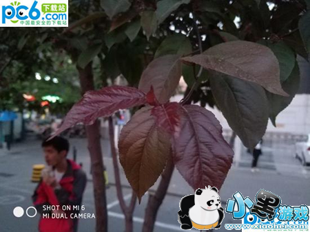 С��6�մ���������ô�� С��6�մ�����������