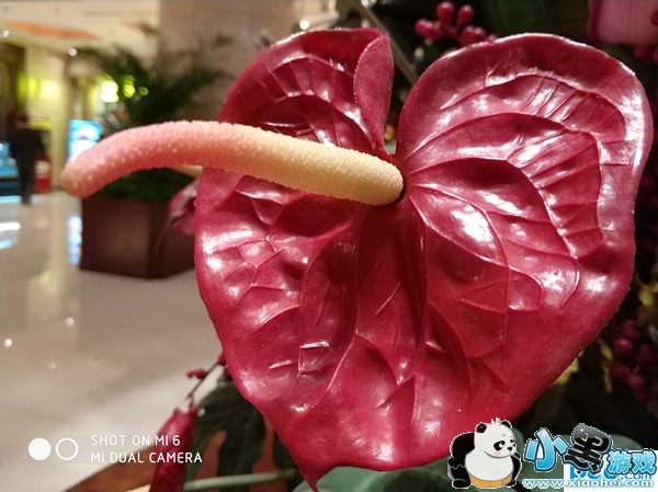 С��6�ֻ���ô�� С��6�׷�����