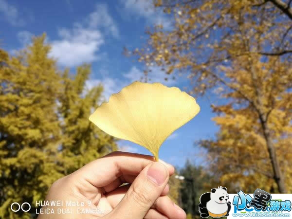 ��ΪMate 9�ֻ���ô�� ��ΪMate 9�������