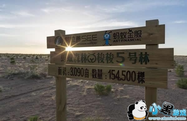 ����ɭ�����ǿ�����ô�� ����ɭ��ʵʱ����������