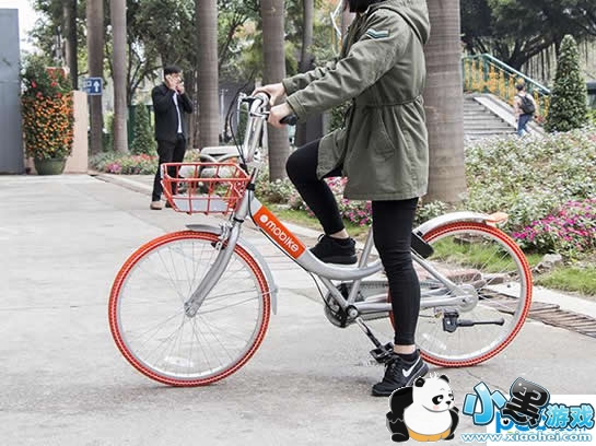 ���������ĸ����� ���������ļ�ǿ �Ŀ��������������