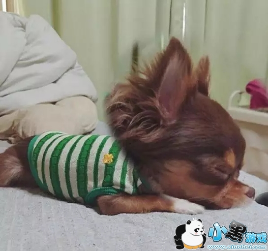 ��ͷ��Ƭ�ֻ�������ʲô ��ͷ��Ƭ����app cymera(�������)�淨�̳�