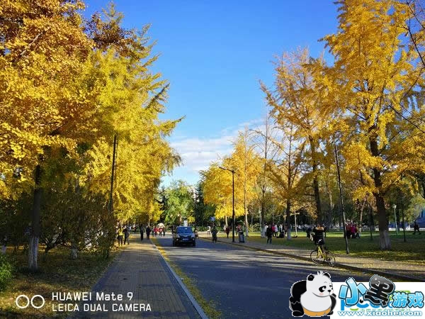 ��ΪMate 9�ֻ���ô�� ��ΪMate 9�������