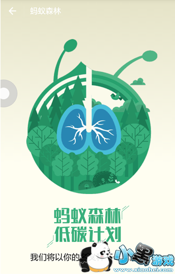 ����ɭ����ô�� ����ɭ�ֹ��Է���